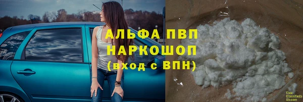 дмт Касимов