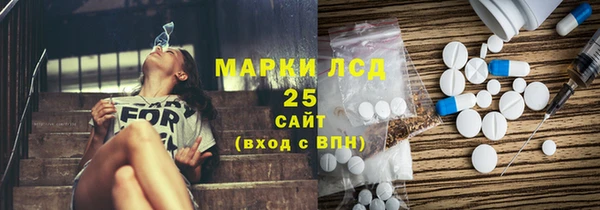 PSILOCYBIN Карталы