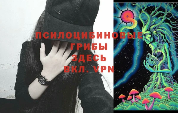 СК Козловка