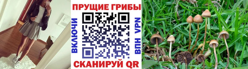 Галлюциногенные грибы мухоморы  гидра сайт  Краснозаводск  как найти  